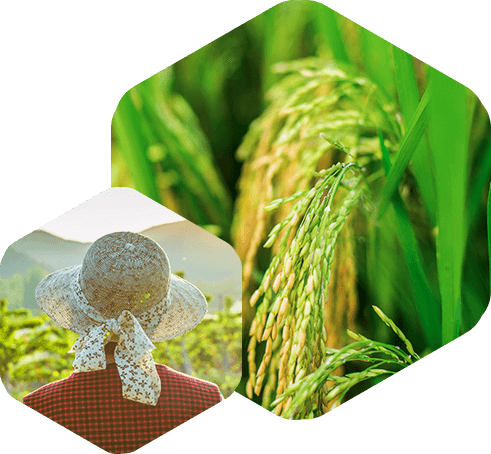 农用有机硅助剂