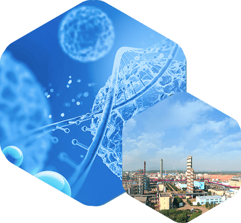 永利集团88304官网